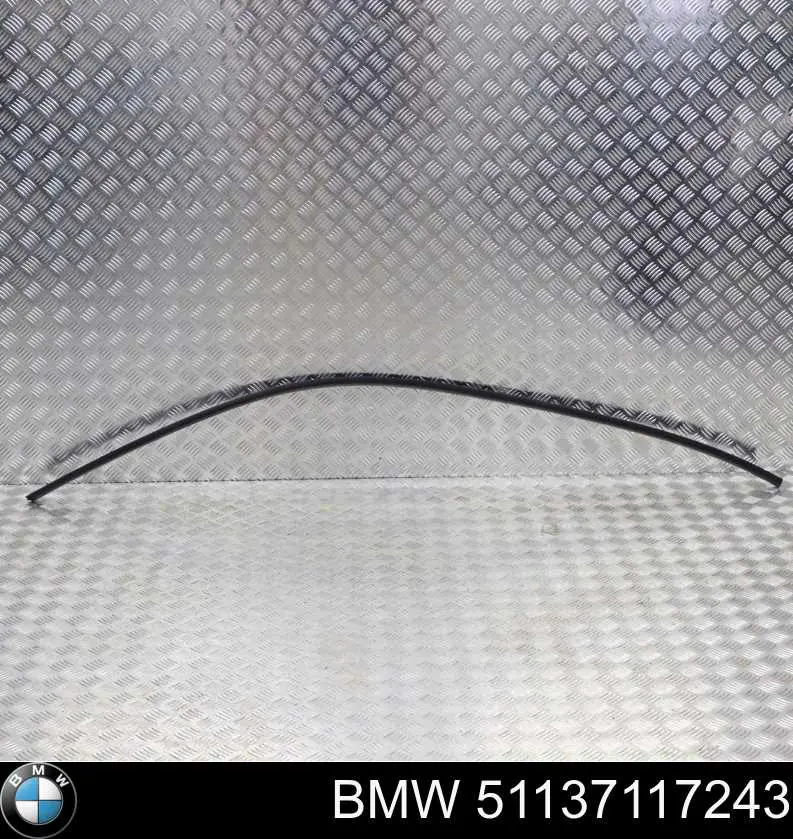 51137117243 BMW 