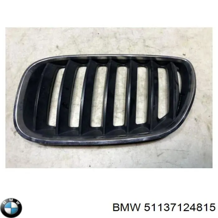 Купити 51137124815 BMW Решітка радіатора ліва