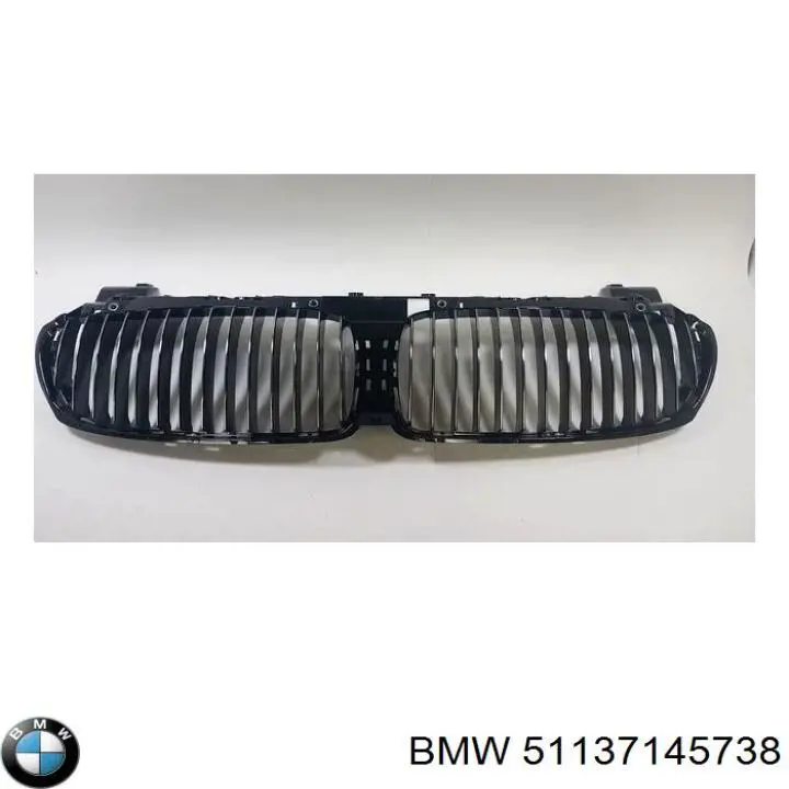 Купити 51137145738 BMW Захисна решітка радіатора