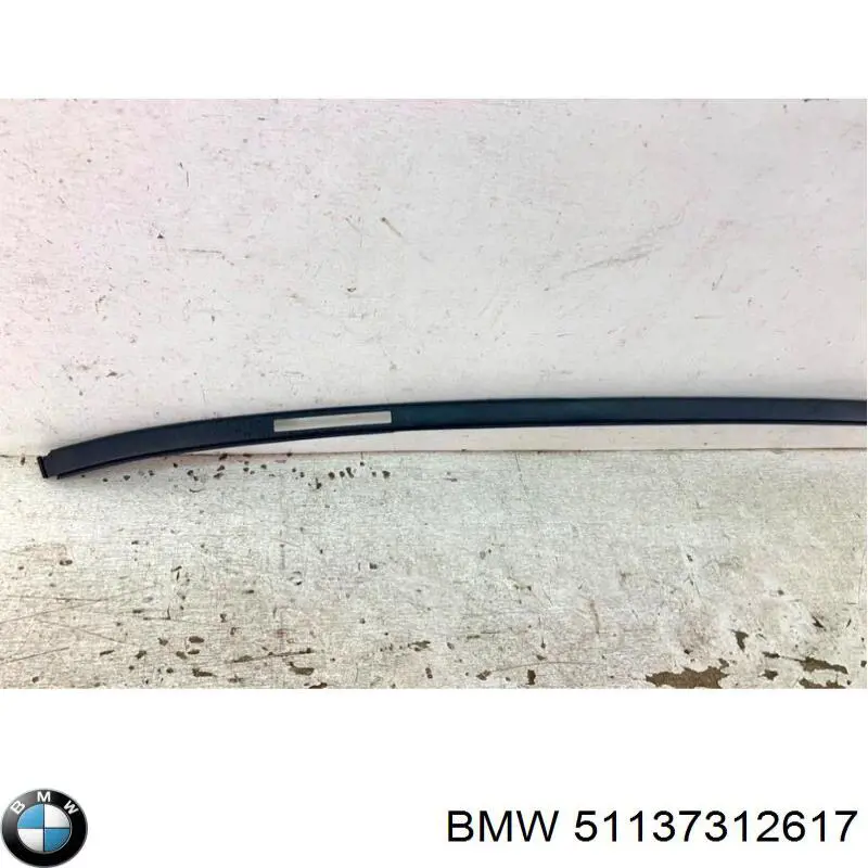 51137312617 BMW Молдинг даху, лівий