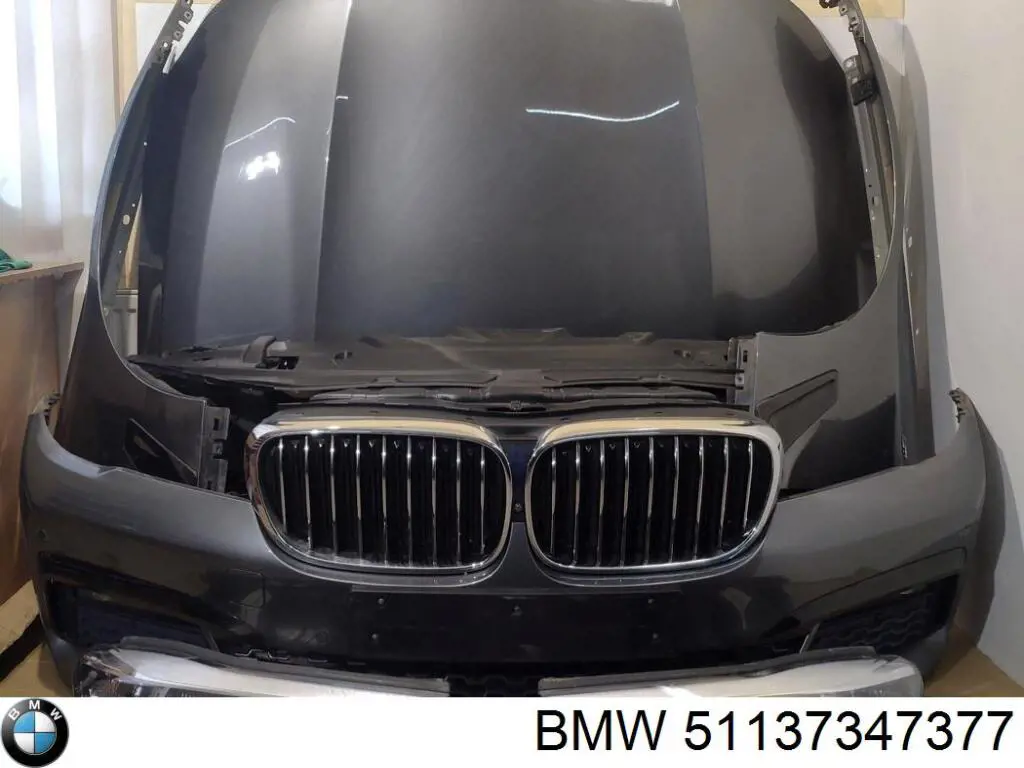 Молдинг переднього лівого крила BMW 7347377 ціна, від 26.05 USD