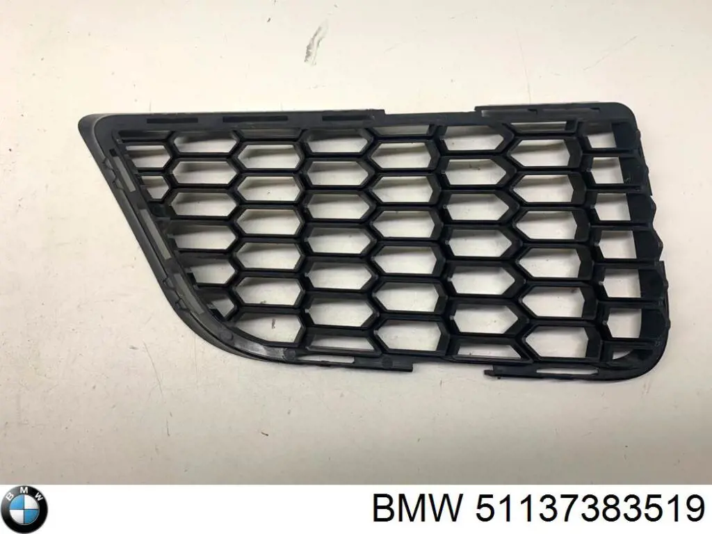 Решітка радіатора ліва BMW 51137383519 ціна, від 30.58 USD