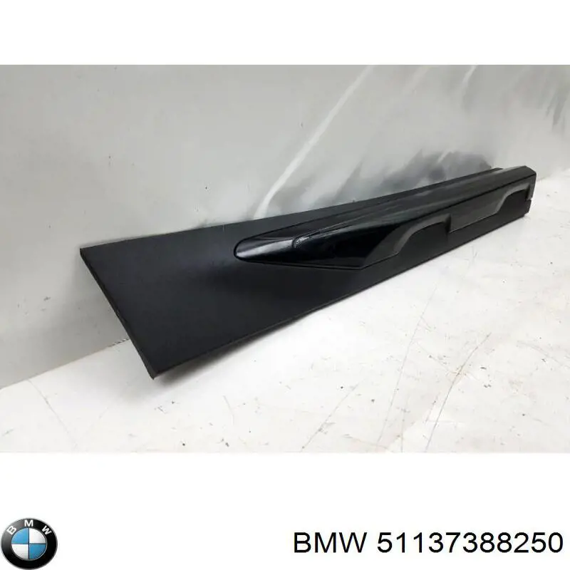51137388250 BMW 