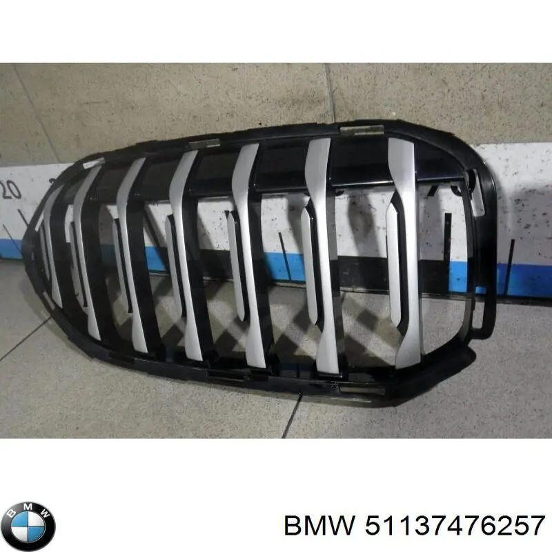 Купити 51135A39372 BMW Захисна решітка радіатора