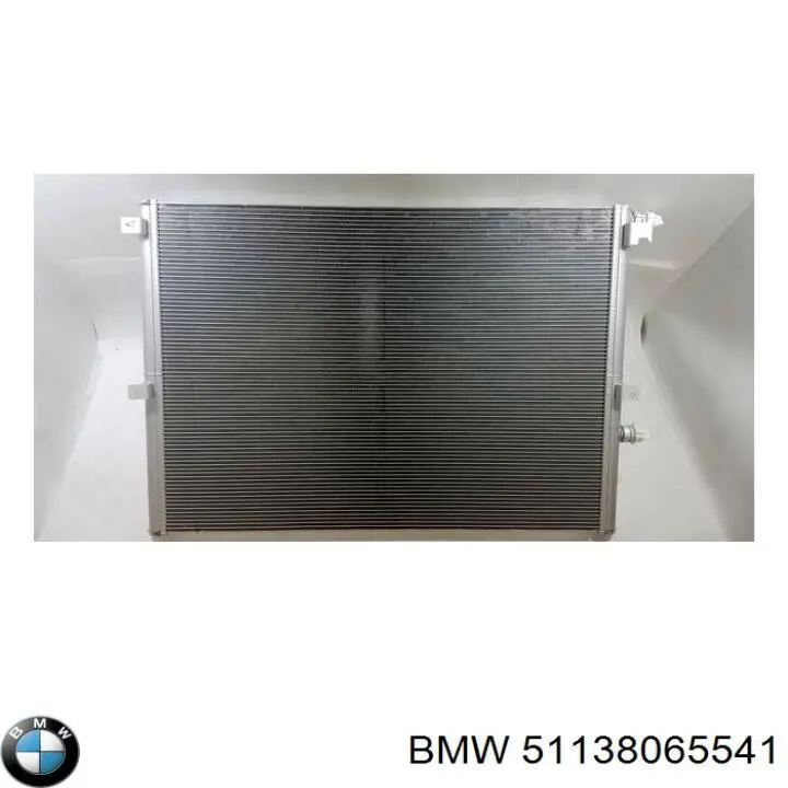 51138065541 BMW Решітка радіатора ліва
