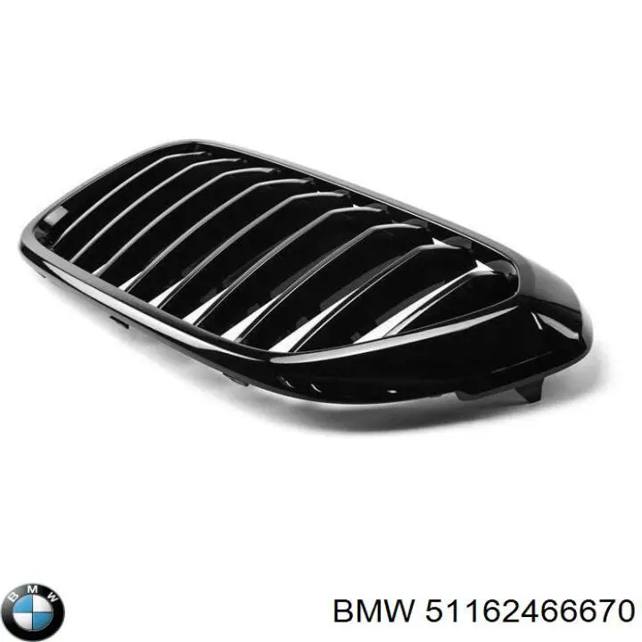  BMW 51162466670