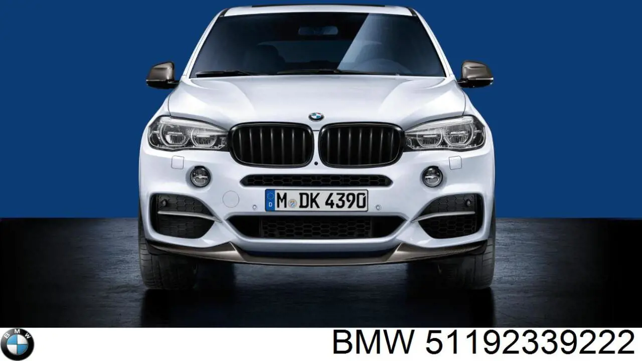 Купити 51192339222 BMW 