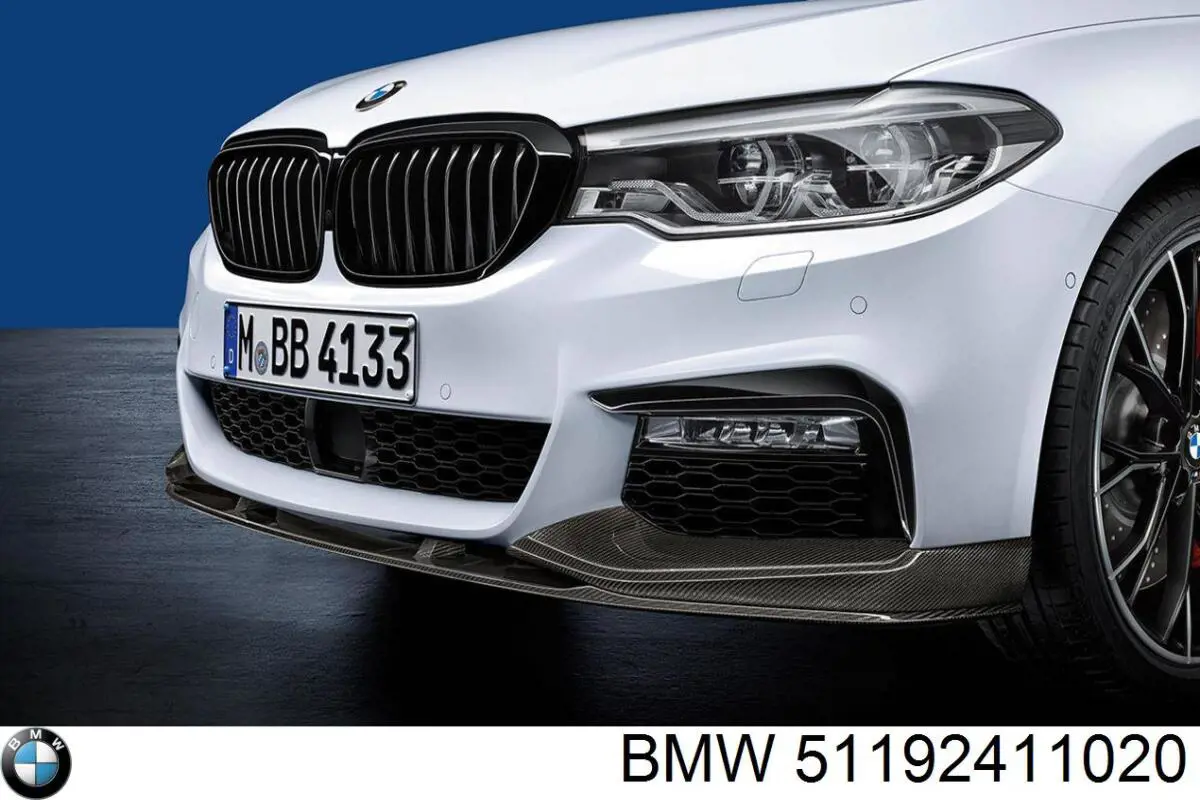 Накладка зовнішня (молдинг) порога, правий BMW 51192455950 ціна, від 301.62 USD