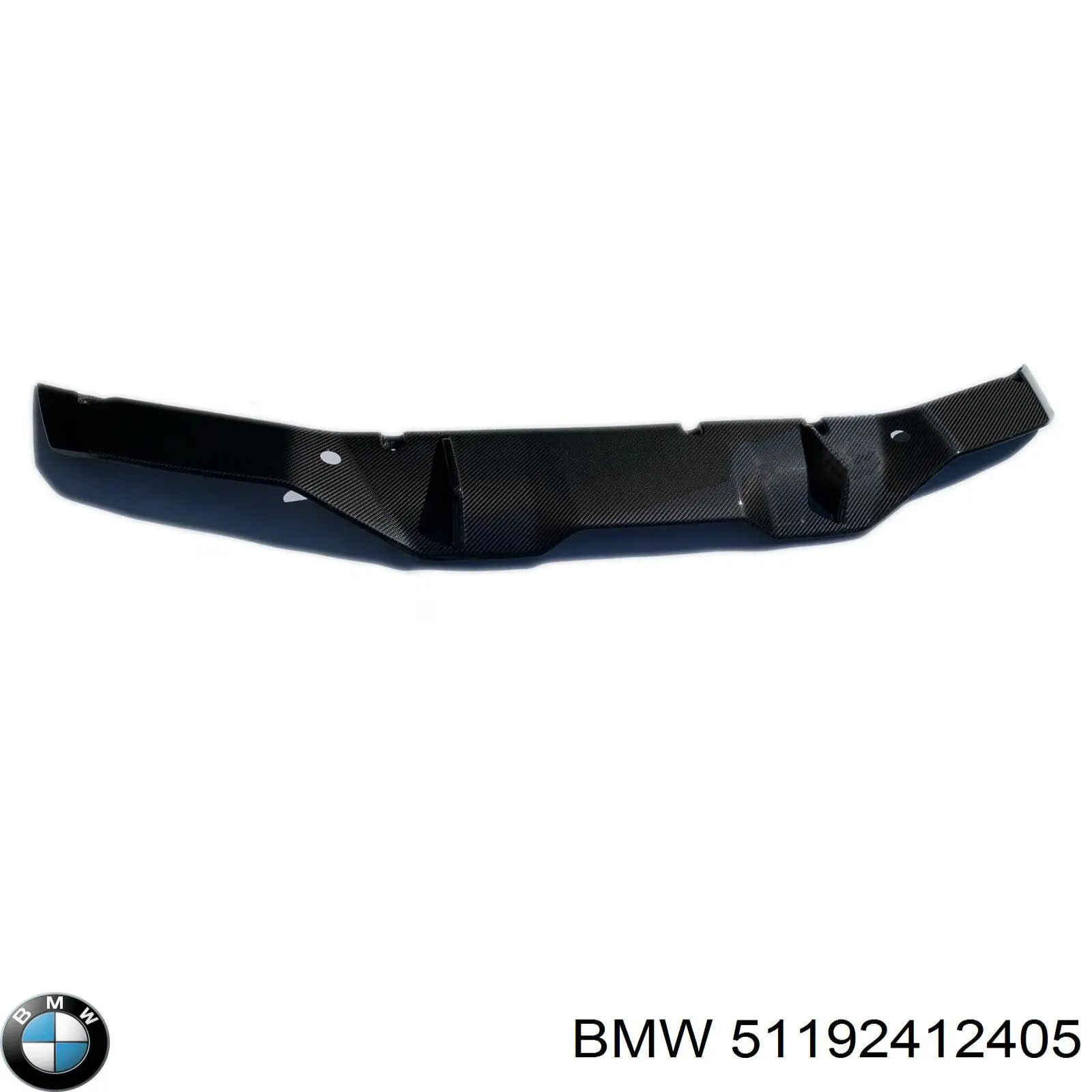 Купити 51192412405 BMW 