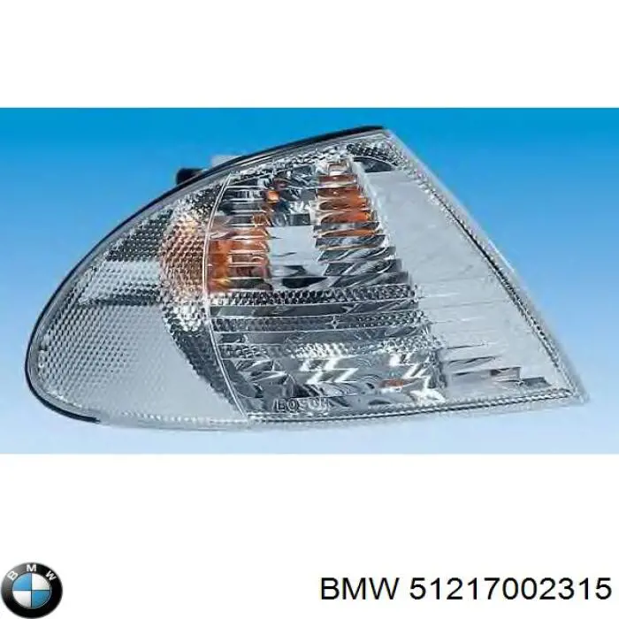 Купити 51217002315 BMW Кришка ручки двері зовнішньої, передньої лівої