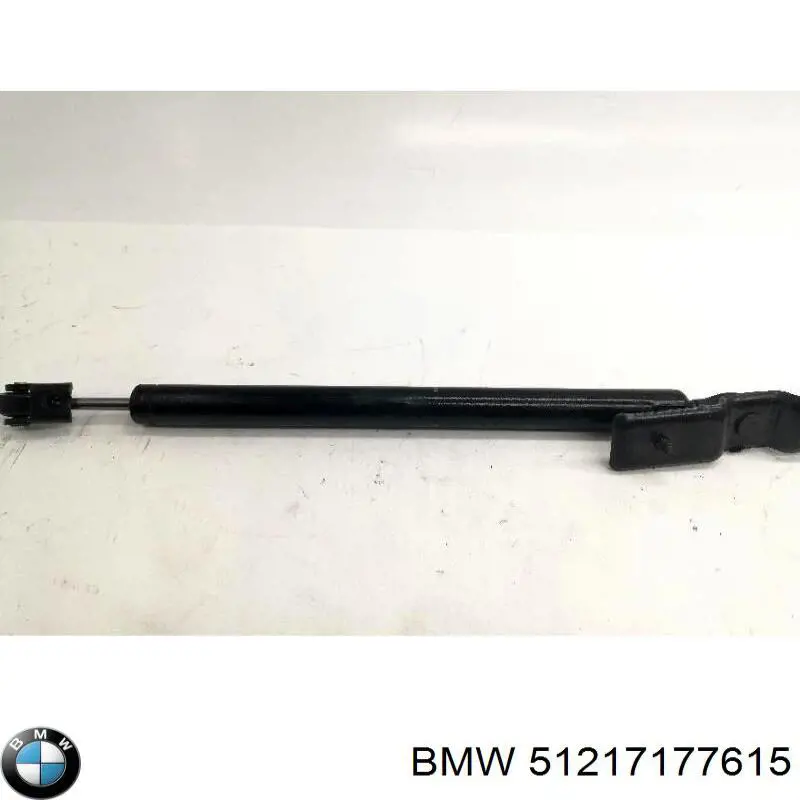 51217177615 BMW Обмежувач відкриття дверей, передній лівий