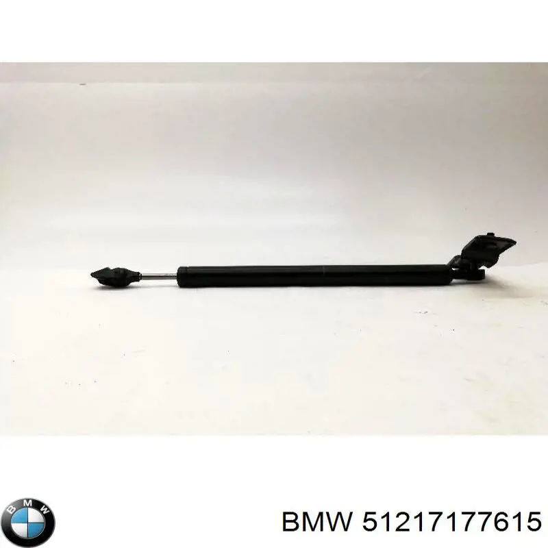 Обмежувач відкриття дверей, передній лівий BMW 51217177615 ціна, від 19.00 USD