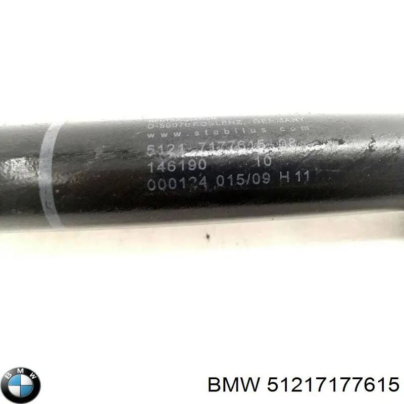 Купити 51217177615 BMW Обмежувач відкриття дверей, передній лівий