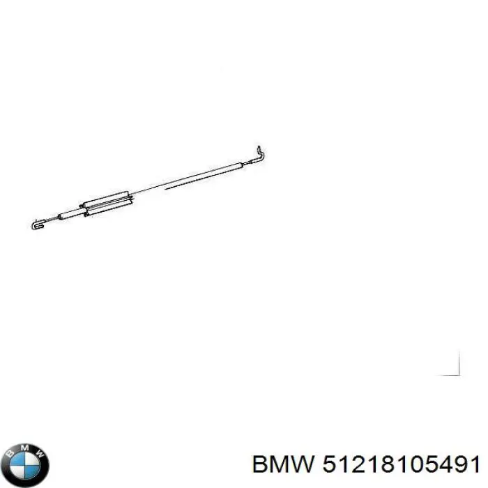 Личинка замка дверей передньої, лівою 51218105491 BMW