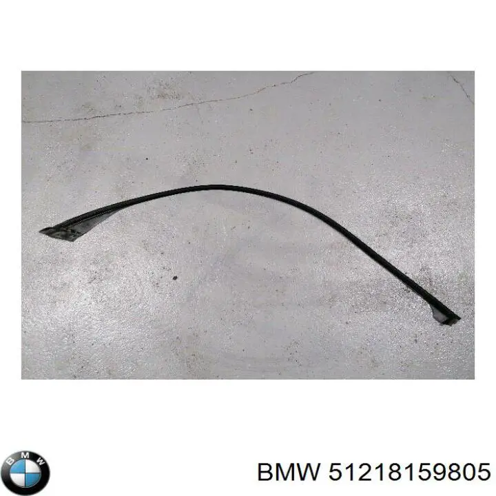Купити 51218159805 BMW 