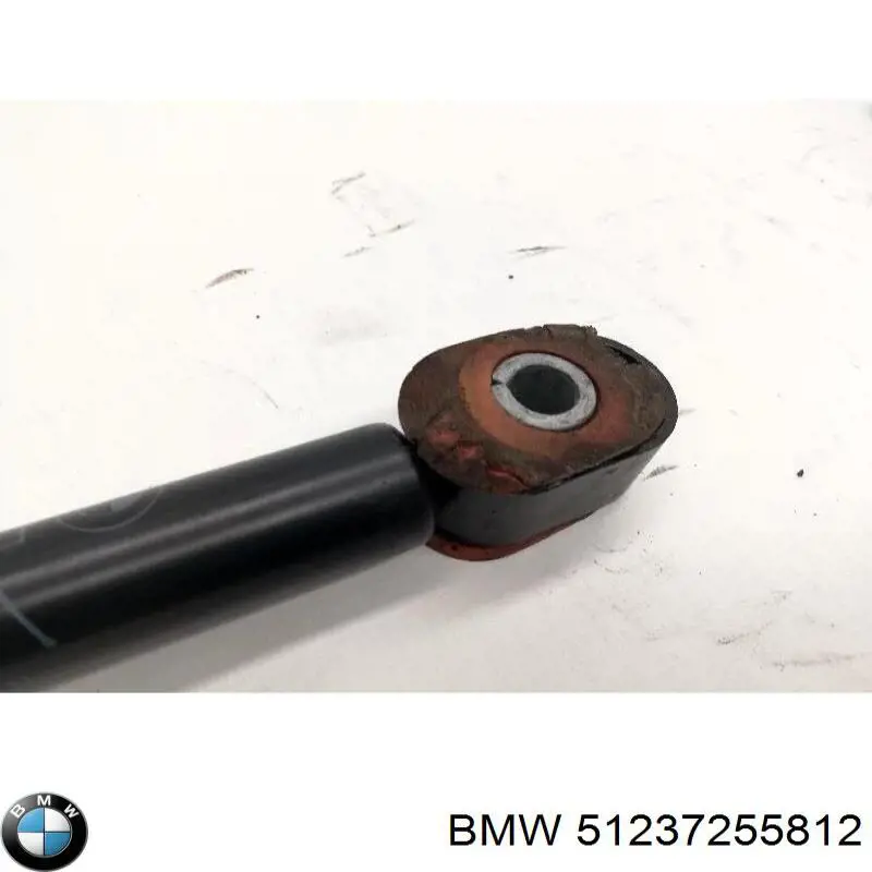 Купити 51237255812 BMW Амортизатор під капот