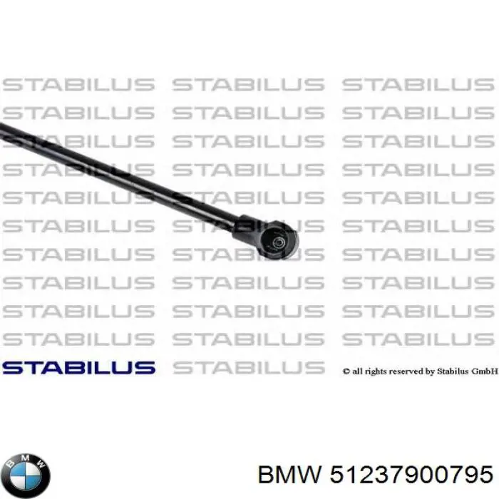 Купити 51237900795 BMW Амортизатор під капот