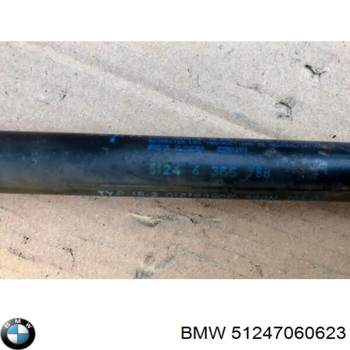 Амортизатор двері задньої BMW 51247060623 ціна, від 9.05 USD
