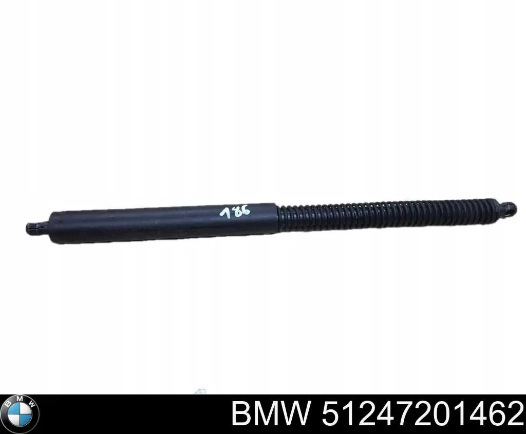 Амортизатор двері задньої BMW 51247201462 ціна, від 103.08 USD