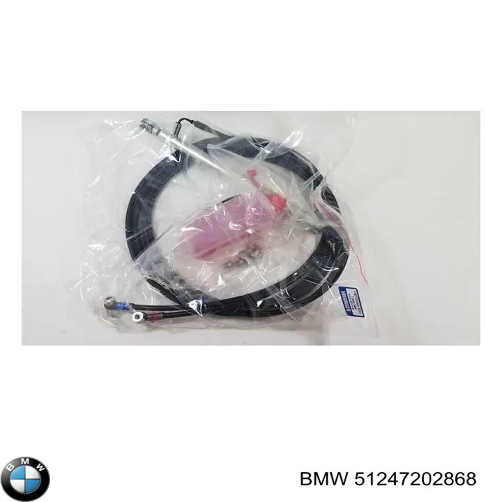 Амортизатор двері задньої BMW 51247202868 ціна, від 379.98 USD