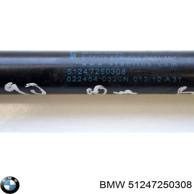 51247250308 BMW Амортизатор кришки багажника / двері 3/5-ї задньої