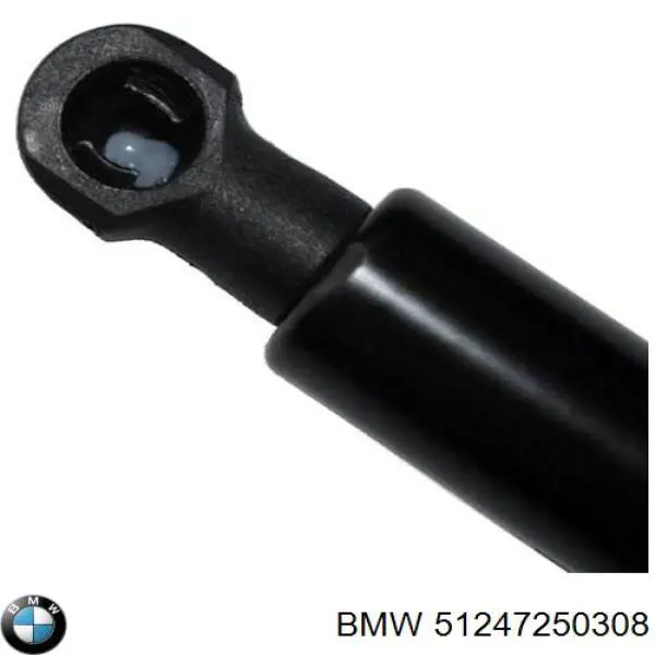 Амортизатор двері задньої BMW 51247250308 ціна, від 10.28 USD