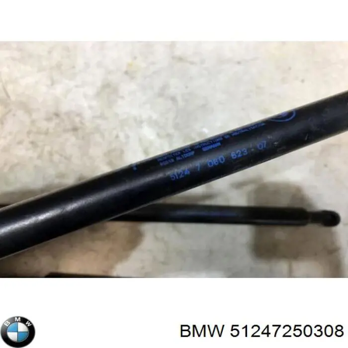 Купити 51247250308 BMW Амортизатор двері багажника