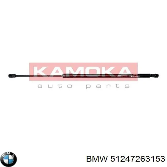 51247263153 BMW Амортизатор кришки багажника / двері 3/5-ї задньої