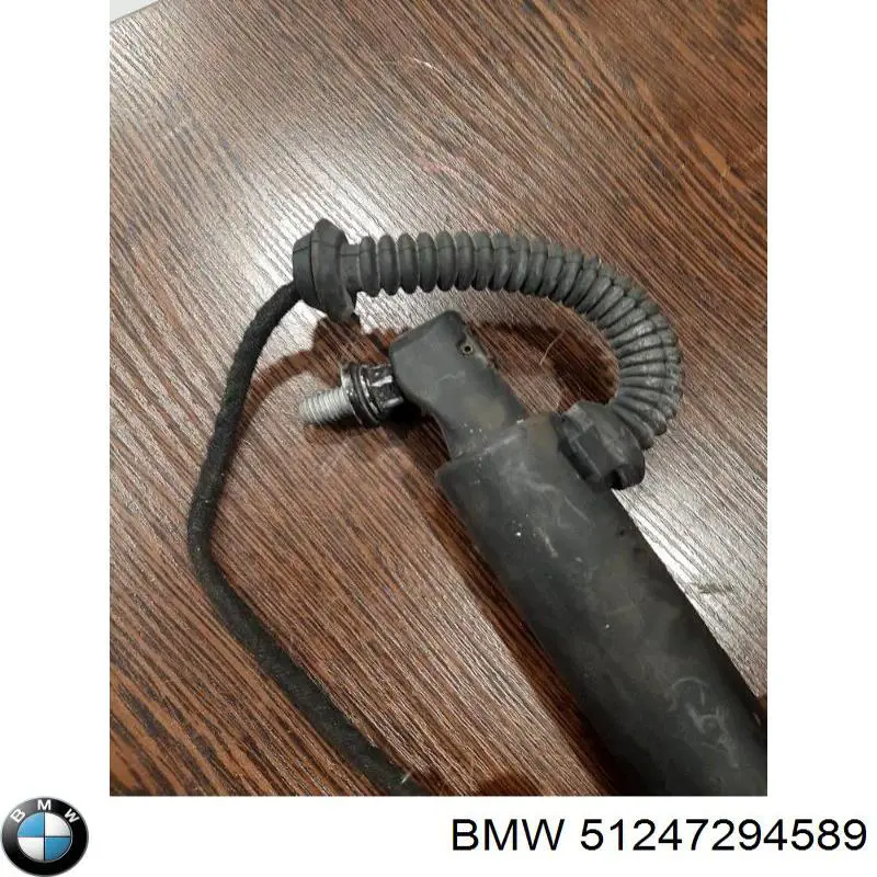 Амортизатор двері задньої BMW 51247294589 ціна, від 95.56 USD