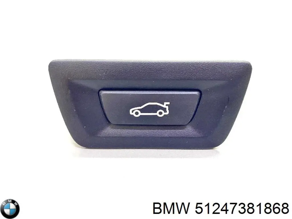 Кнопка приводу замка 3/5 дверей (ляди) / кришки багажника BMW 51247381868 ціна, від 13.61 USD