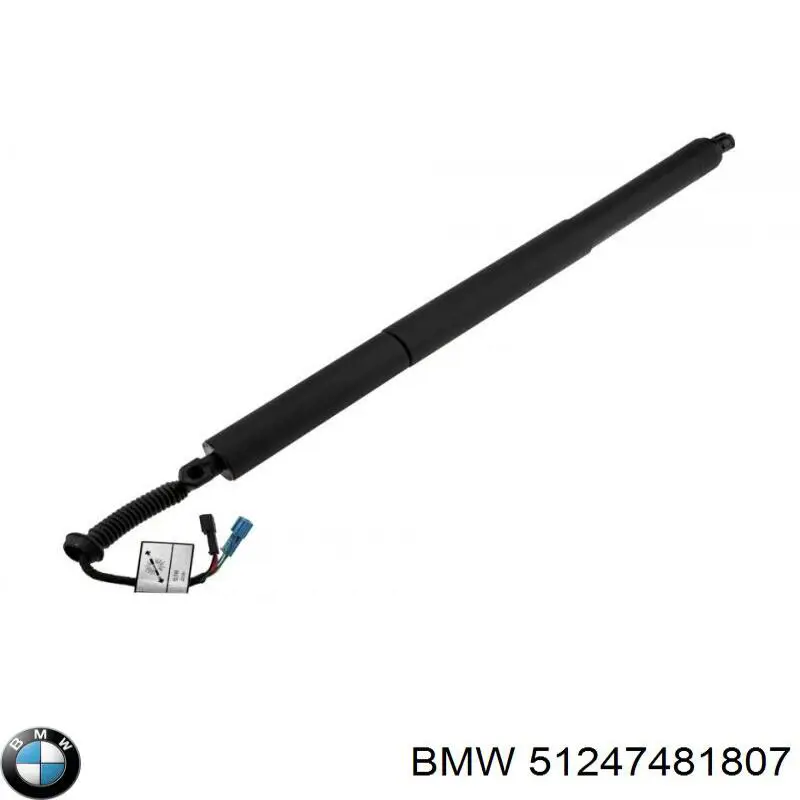 Амортизатор двері задньої BMW 51247481807 ціна, від 75.08 USD