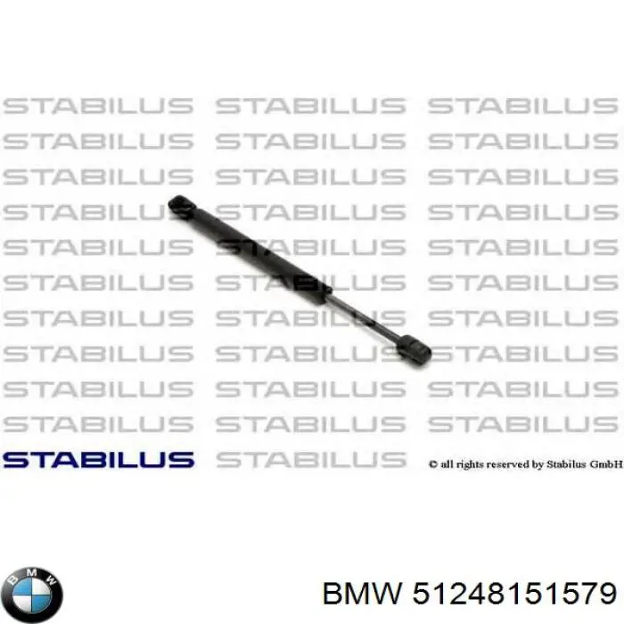 Амортизатор двері задньої BMW 51248151579 ціна, від 7.36 USD