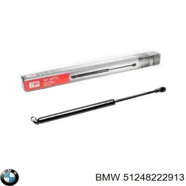 51248222913 BMW Амортизатор кришки багажника / двері 3/5-ї задньої