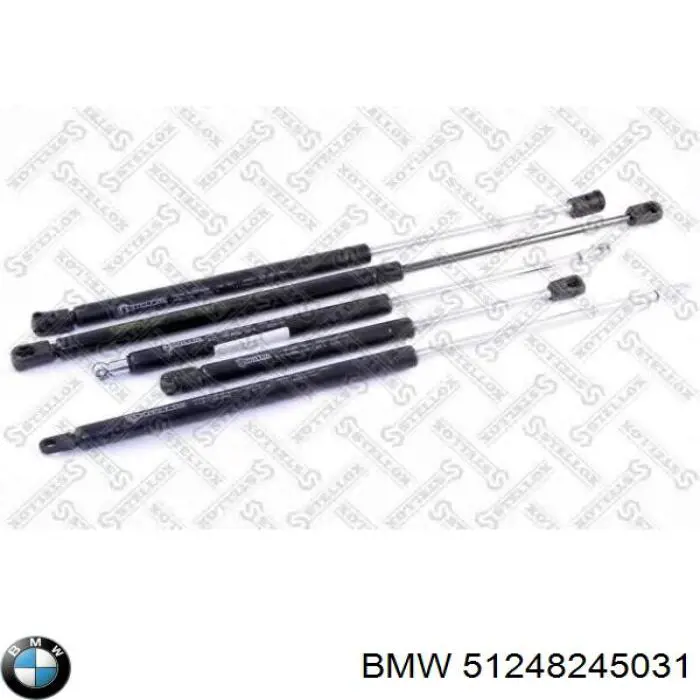 51248245031 BMW Амортизатор кришки багажника / двері 3/5-ї задньої
