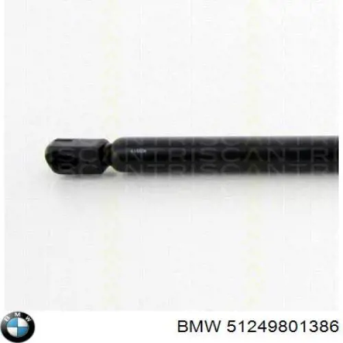 Купити 51249801386 BMW Амортизатор двері багажника
