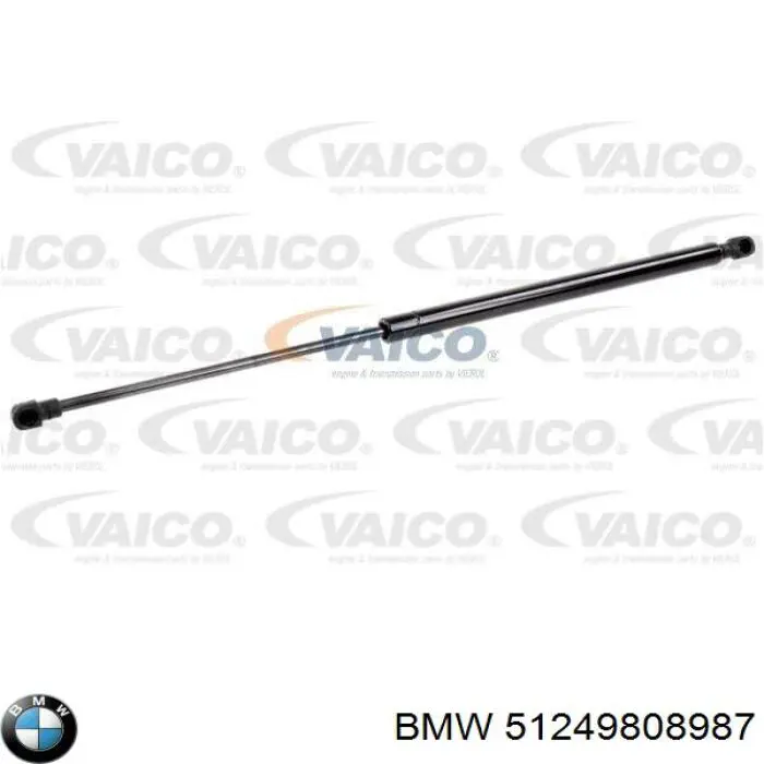 Амортизатор двері задньої BMW 51249808987 ціна, від 6.87 USD