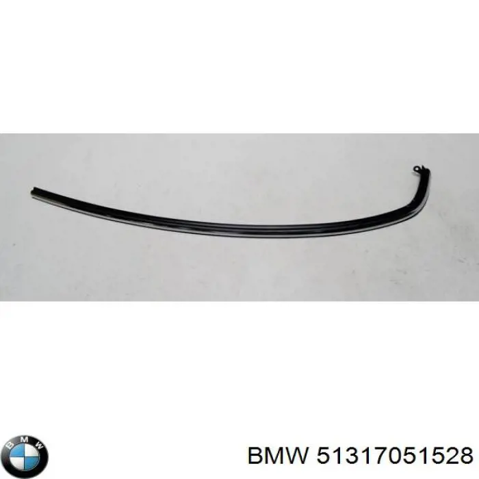 Захисна накладка вітрового скла нижня BMW 51317051528