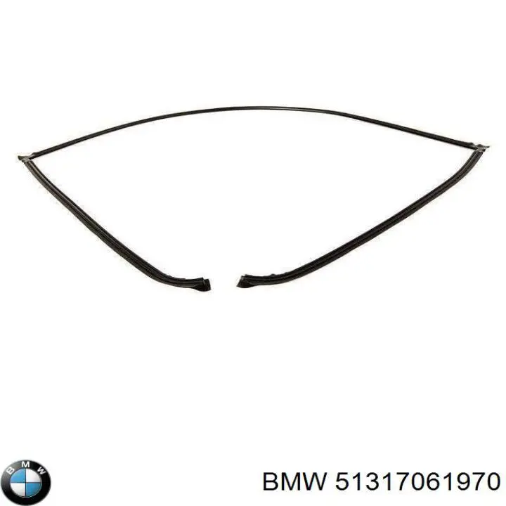 Купити 51317061970 BMW Молдинг заднього скла