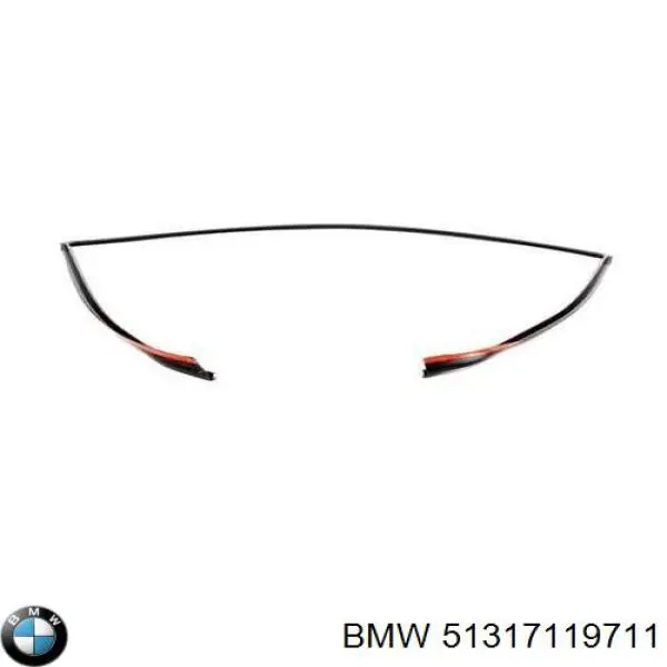 Верхній молдинг вітрового скла BMW 51317119711