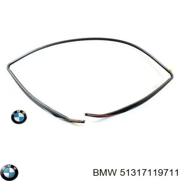 Молдинг лобового скла, верхній BMW 51317119711 ціна, від 64.52 USD