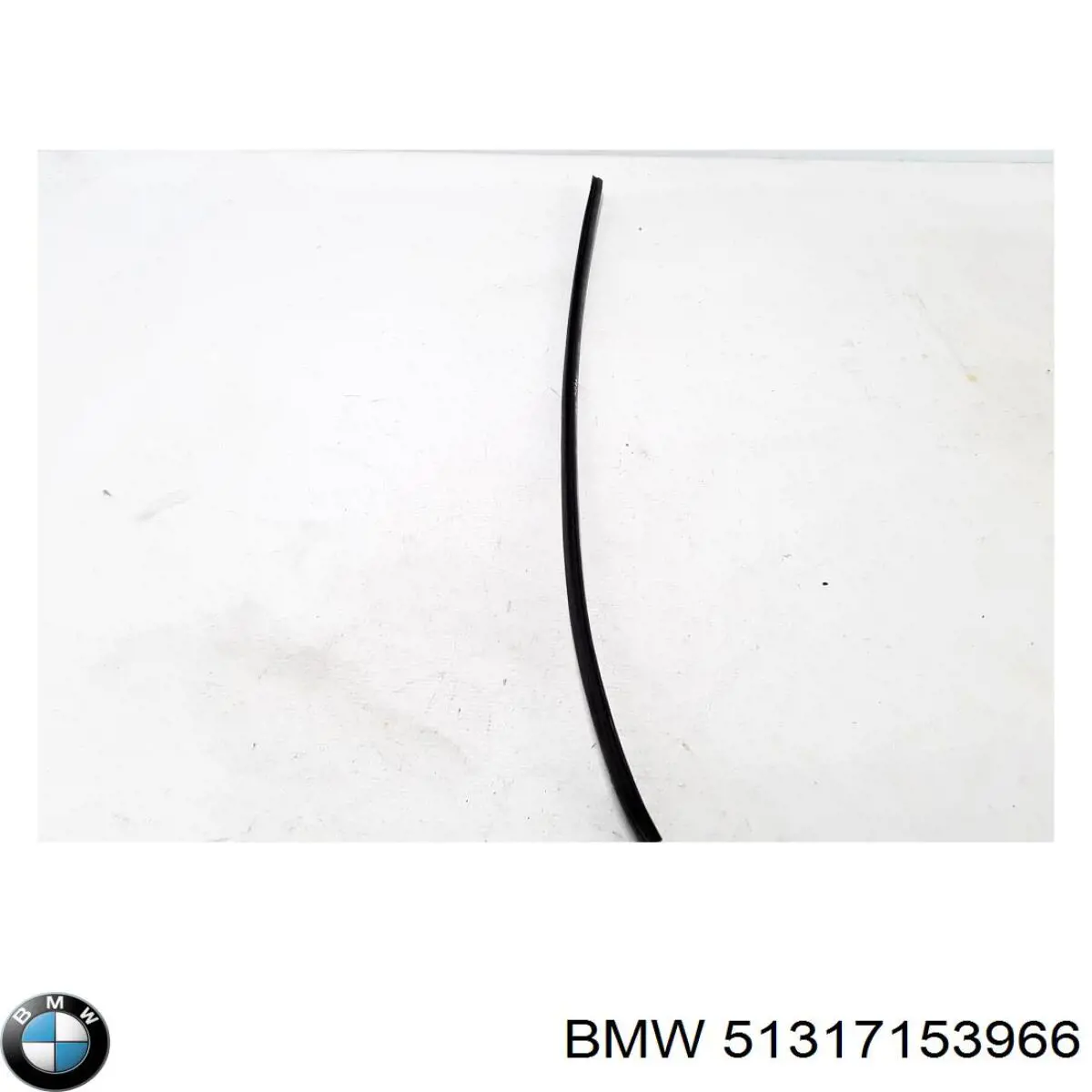  51317153966 BMW