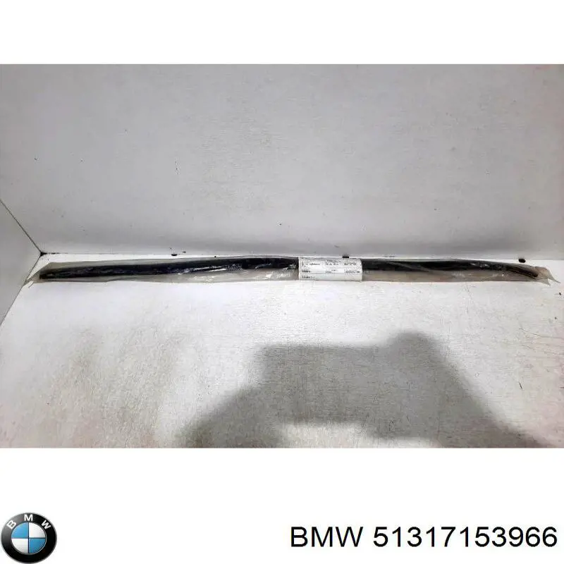 51317153966 BMW 