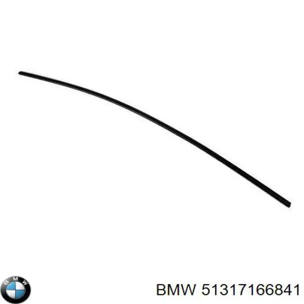 51317166841 BMW молдинг лобового скла, верхній