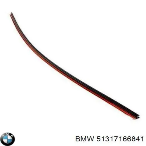 Купити 51317166841 BMW Молдинг лобового скла, верхній