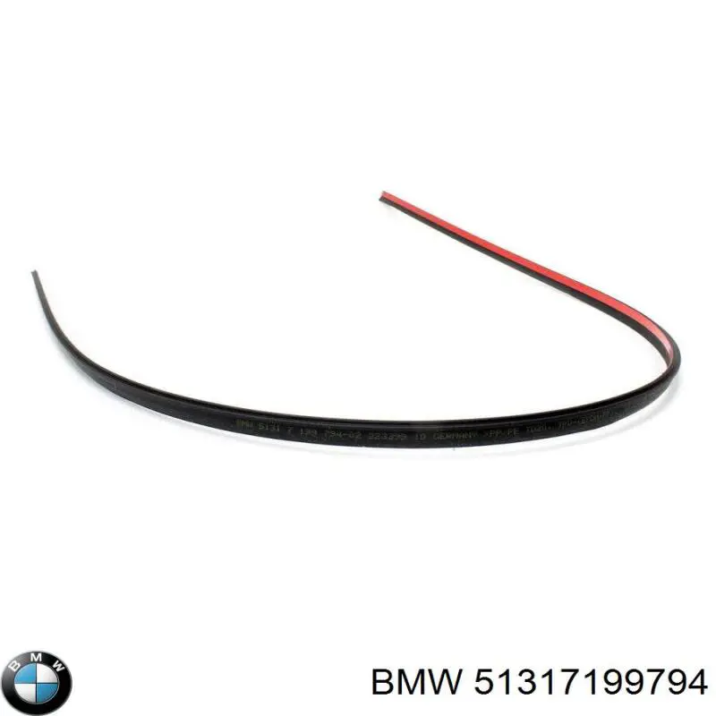 51317199794 BMW Молдинг лобового скла, верхній
