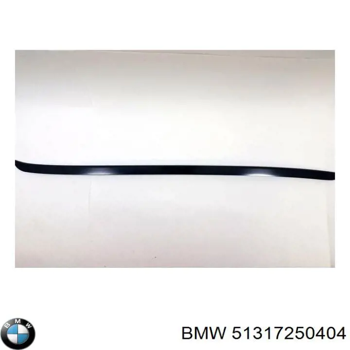 Молдинг лобового скла, правий BMW 51317250404 ціна, від 19.00 USD