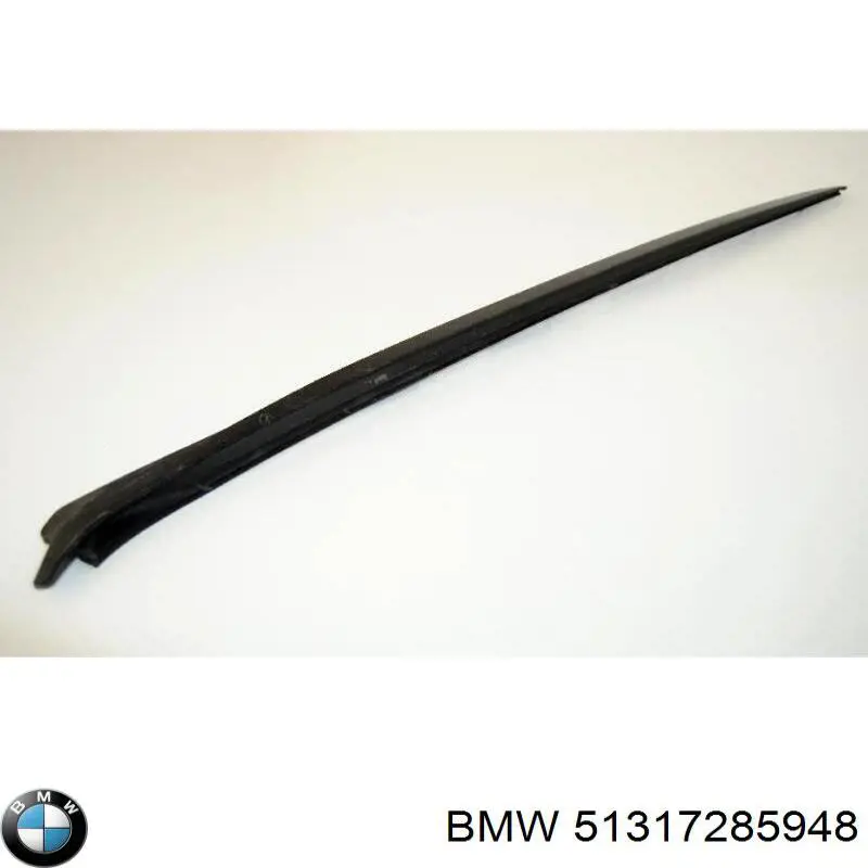 51317285948 BMW Захисна накладка переднього скла права