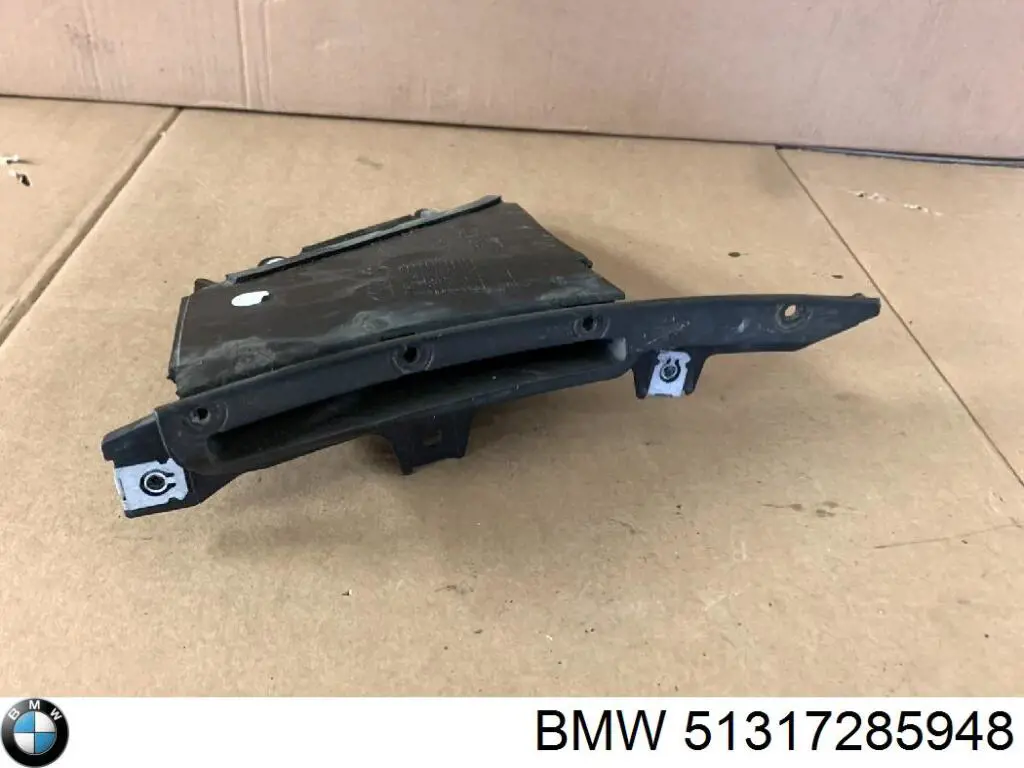 Купити 51317285948 BMW Захисна накладка вітрового скла права