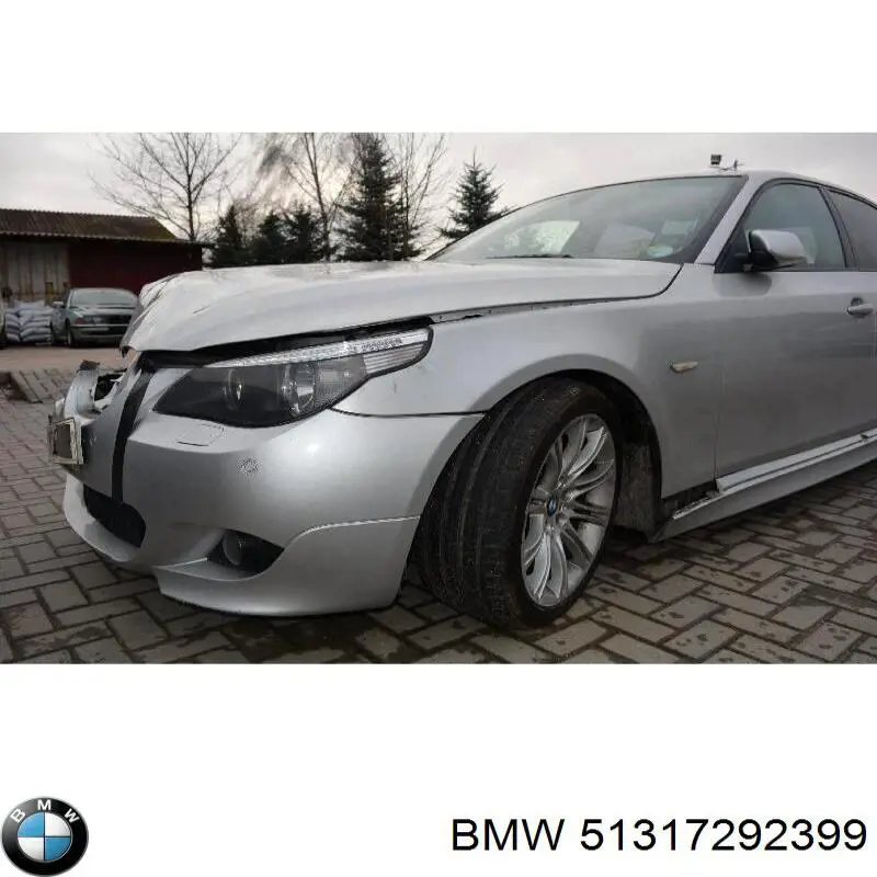 Купити 51317292399 BMW Вікно вітрове