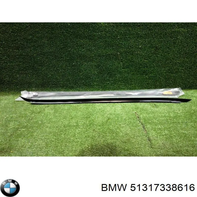 51317338616 BMW Захисна накладка переднього скла права
